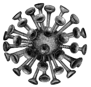 Neumayr Diatoms 2 copy.jpg